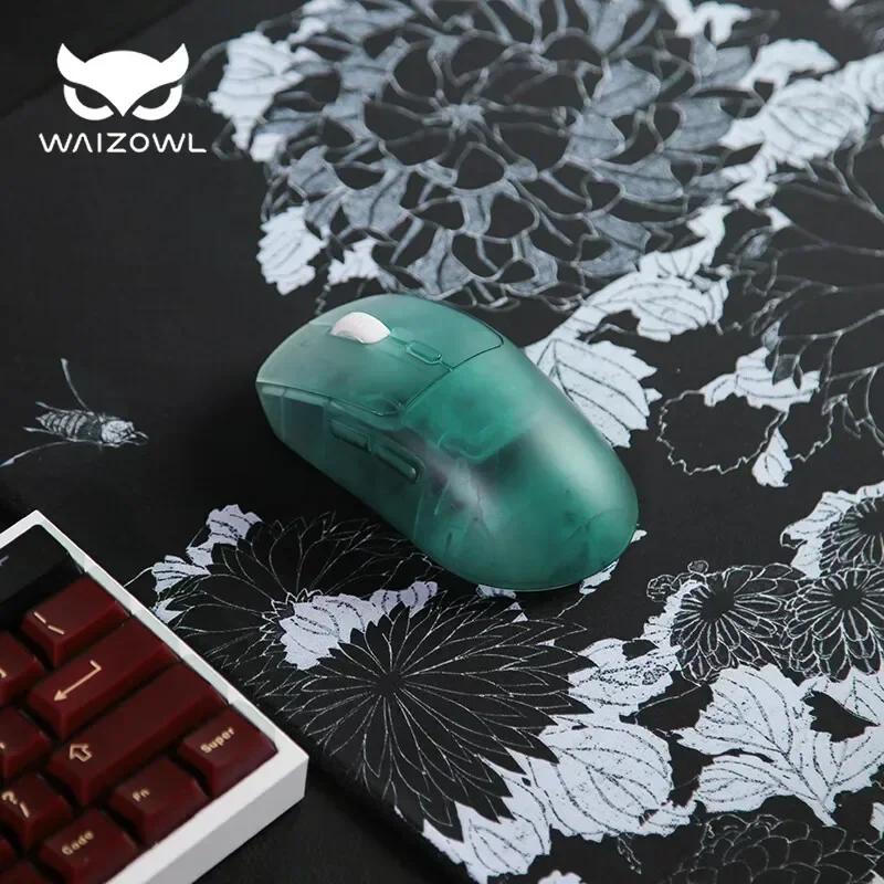 Waizowl OGM Pro Wireless Mouse - Gaming Hand Accessories 리뷰 및 가격