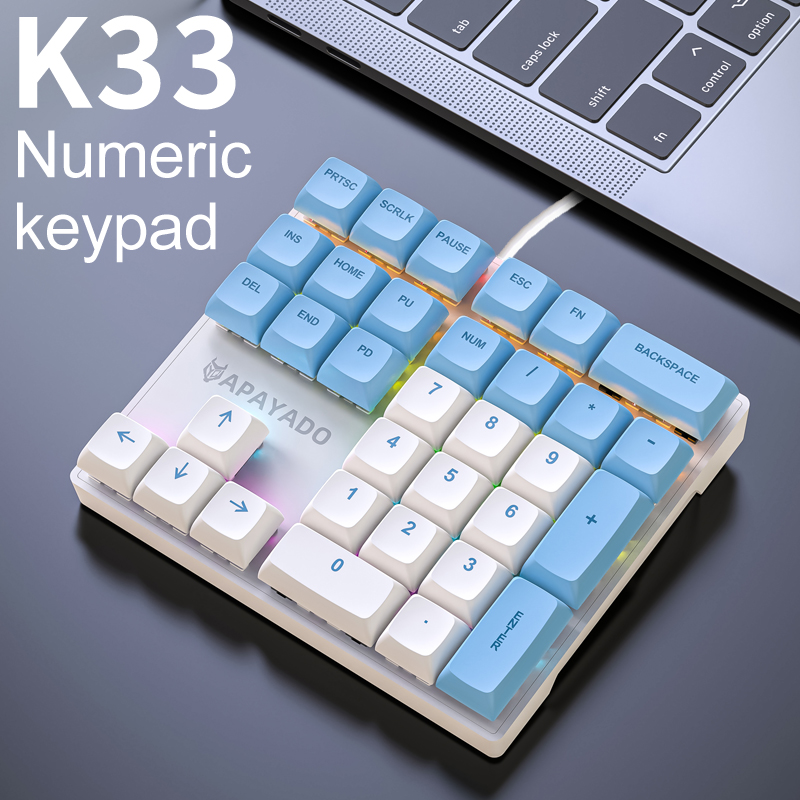 APAYADO Compact Mechanical Num - Keyboard Numpad Separate 리뷰 및 가격