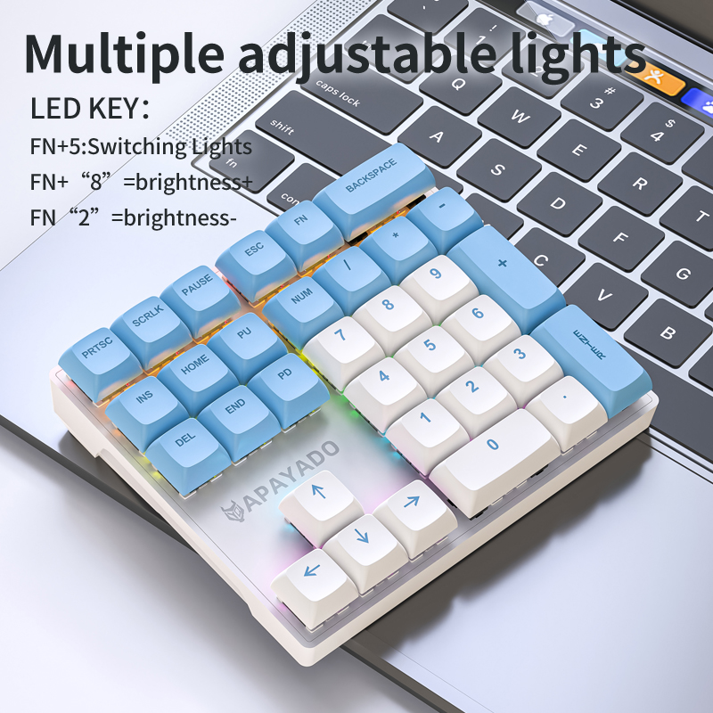 APAYADO Compact Mechanical Num - Keyboard Numpad Separate 리뷰 및 가격
