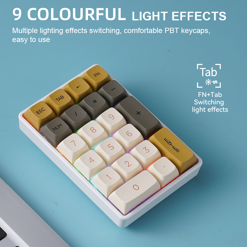 FREEWOLF K21 Wireless Mechanic - Keyboard Numpad Separate 리뷰 및 가격